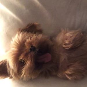 Meet your Posher, Vanessa brooke